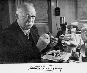 Albert E. Salisbury